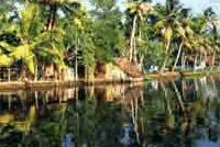 Alleppey in cochin