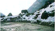 India travel arunachal pradesh