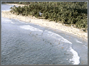 Beach resort at chandipur