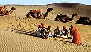 Festivals at Desert