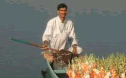 travel guide to srinagar