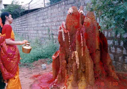 Nag Panchami