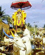 Pongal celebration in india