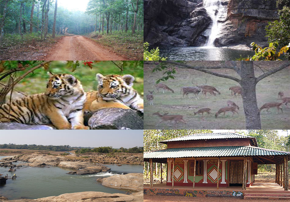 Simlipal National Park | animals, tours, tiger, map | single horned  rhinoceros