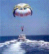 parasailing