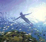 Adventurous tour scuba diving and snorkeling