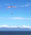 Paragliding
