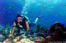Adventurous tour scuba diving and snorkeling