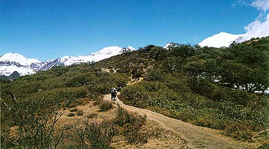 Trekking Sikkim